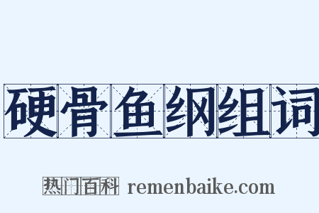 硬骨鱼纲组词是什么意思的图片